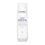 Goldwell Dualsenses Just Smooth Shampoo 250ml