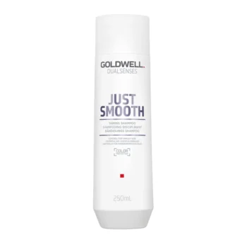 Goldwell Dualsenses Just Smooth Shampoo 250ml
