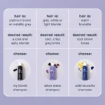 Milk shake Silver Shine Shampoo 300ml