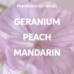 Wella-Professionals-Elements-Renewing-Shampoo