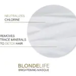 Joico-Blonde-Life-Brightening-Mask-150ml-6