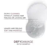 Joico-Defy-Damage-Detox-Cleansing-Creme-Shampoo-1000ml-6