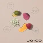 Joico-InnerJoi-Preserve-Shampoo-300ml