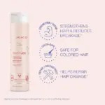 Joico-InnerJoi-Strengthen-Conditioner-300ml