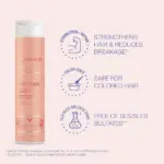 Joico-InnerJoi-Strengthen-Shampoo-300ml