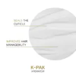 Joico-K-Pak-Intense-Hydrator-250-ml-5