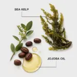 Joico-Moisture-Recovery-Shampoo-1000ml
