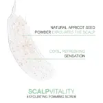 Joico-Scalp-Vitality-Exfoliating-Foaming-Scrub-177ml