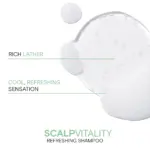 Joico-Scalp-Vitality-Refreshing-Shampoo-300ml