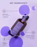 Moroccanoil-Treatment-Purple-50ml