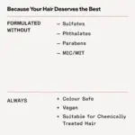 Olaplex-No.4-Bond-Maintenance-Shampoo-250ml
